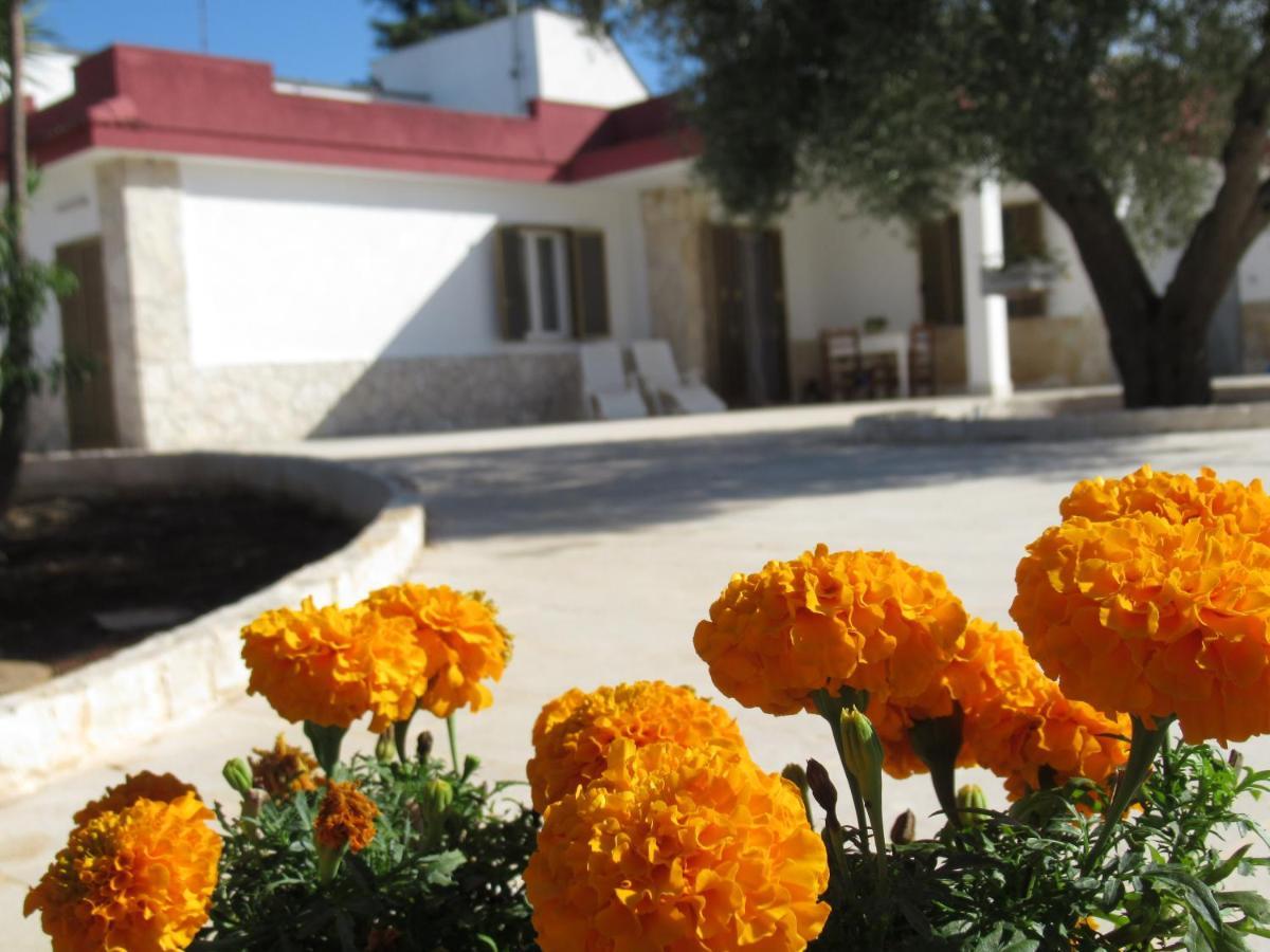 Casa Ale & Vinci Villa Monopoli Kültér fotó