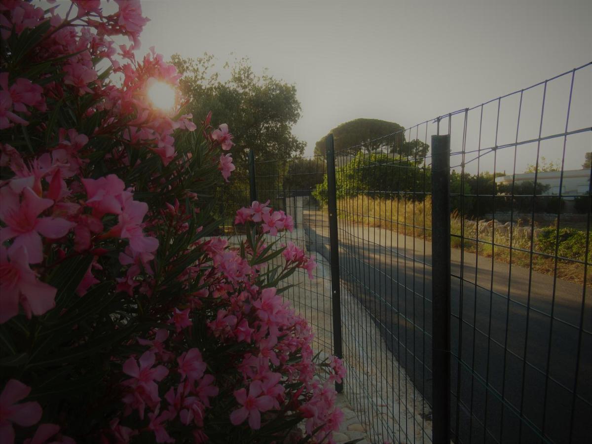 Casa Ale & Vinci Villa Monopoli Kültér fotó