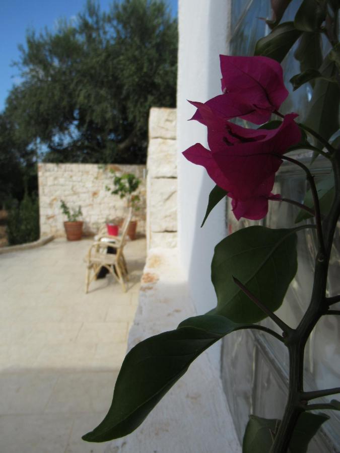 Casa Ale & Vinci Villa Monopoli Kültér fotó