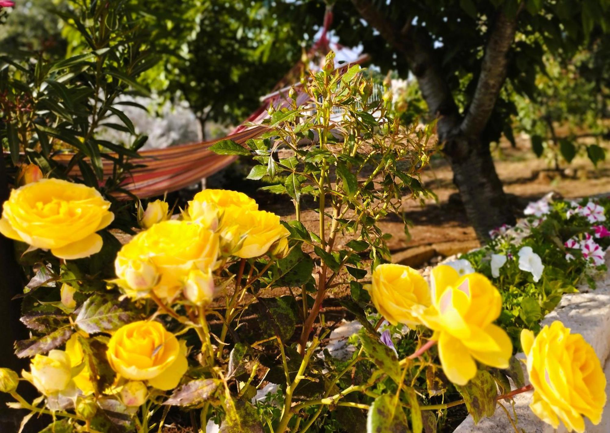 Casa Ale & Vinci Villa Monopoli Kültér fotó