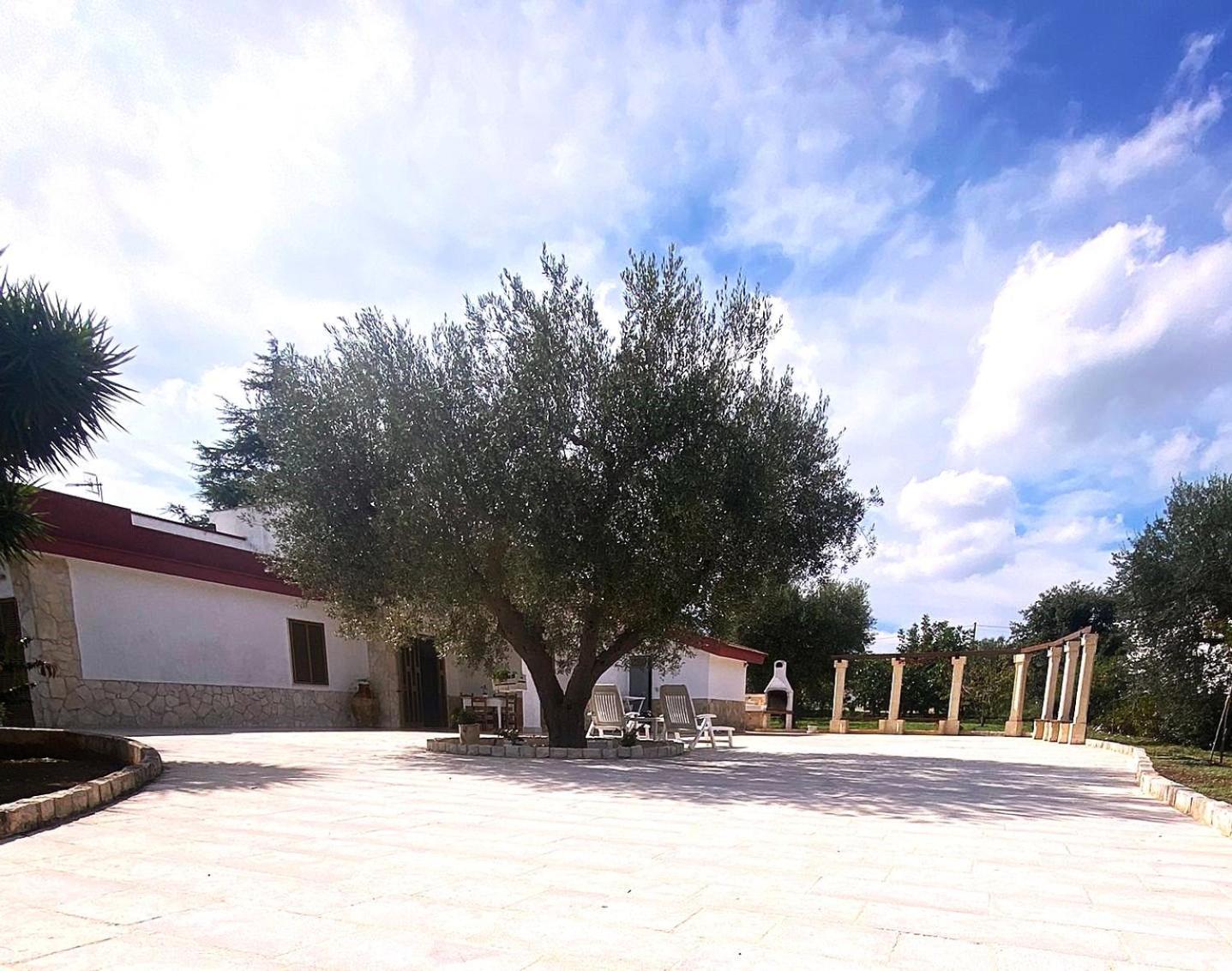 Casa Ale & Vinci Villa Monopoli Kültér fotó