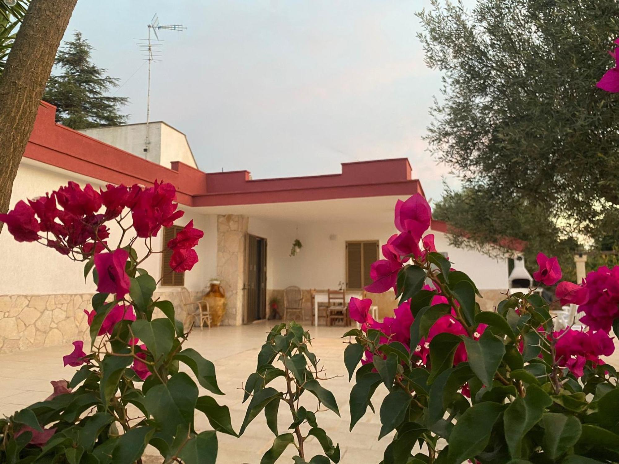 Casa Ale & Vinci Villa Monopoli Kültér fotó